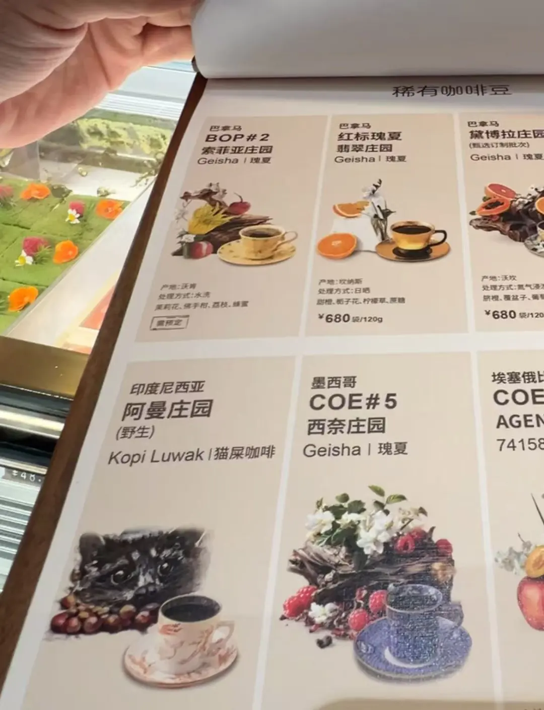咖啡”引热议店员：工作一年多了也没见过麻将胡了2试玩网站上海“1800元一杯(图3)