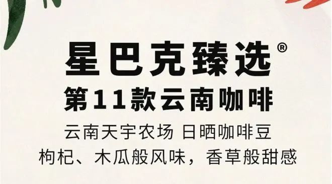 咖啡：彩云之南的馥郁传奇PG麻将胡了2模拟器云南(图6)