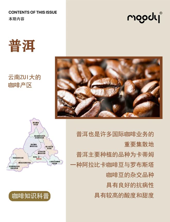 咖啡：彩云之南的馥郁传奇PG麻将胡了2模拟器云南(图9)